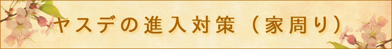 家の周辺から来るヤスデ対策