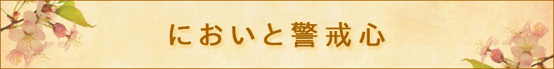 ヤスデの臭い