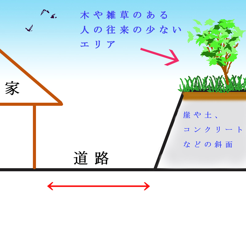 横から見た説明図