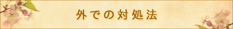 外でのヤスデの対処