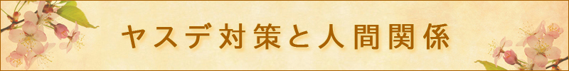 ヤスデ対策と人間関係